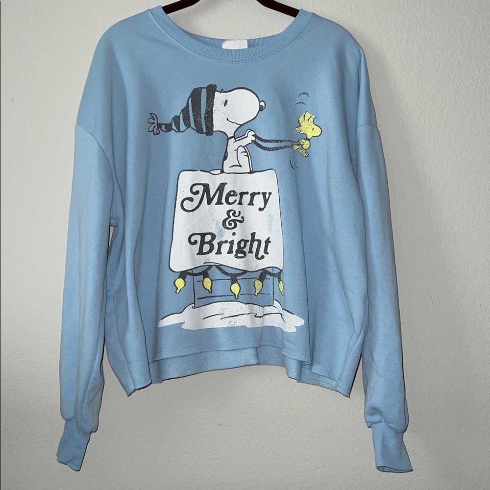 Peanuts Snoopy Woodstock Merry & Bright Graphic Oversized Sweatshirt Size Large